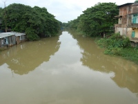 Biswanath_15
