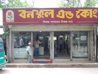 Biswanath_31