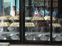Biswanath_35