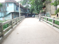 Biswanath_39