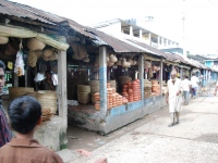 Biswanath_42