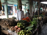 Biswanath_43