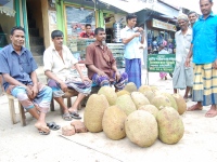 Biswanath_47