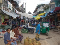 Biswanath_58