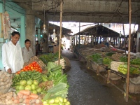 Biswanath_64